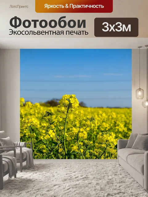 Фотообои Цветы