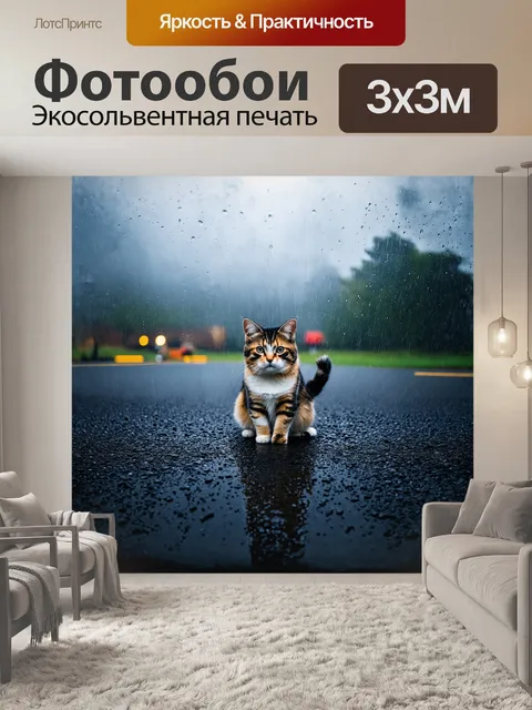 Фотообои асфальтоукладчик работает в бурую погоду