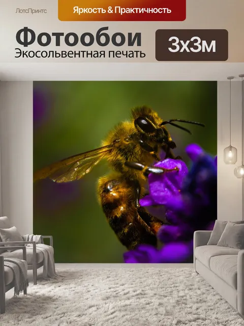 Фотообои Пчела