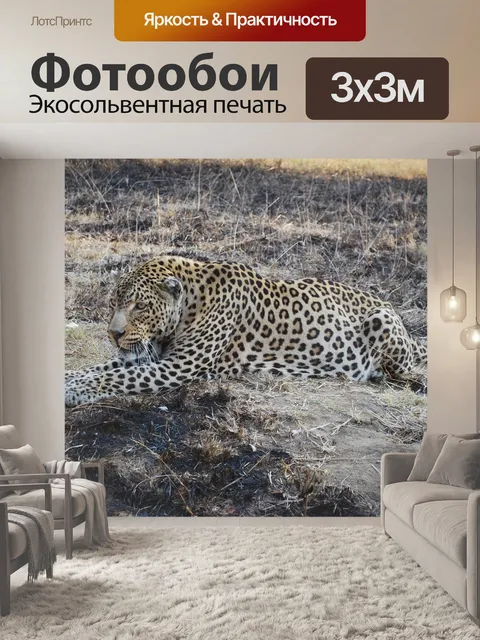 Фотообои Южная африка