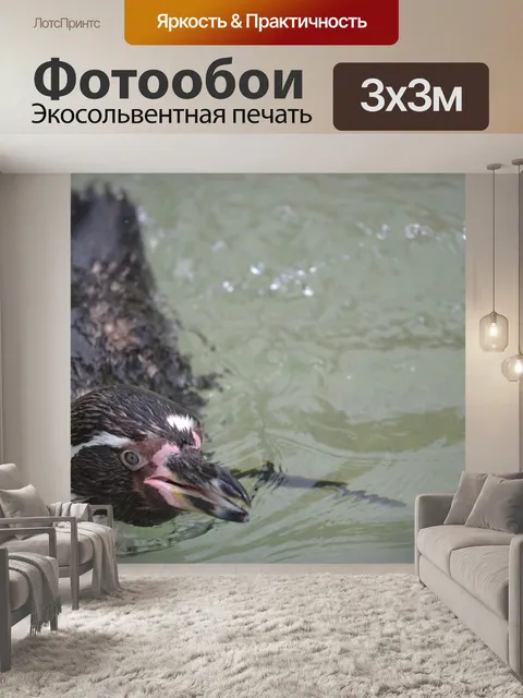 Фотообои Пингвин