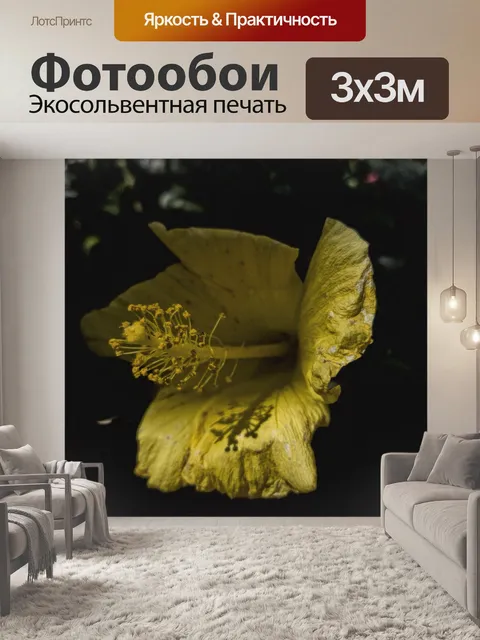 Фотообои Желтый цветок гибискуса