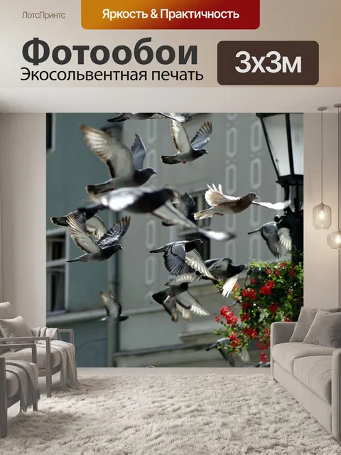 Фотообои Голуби