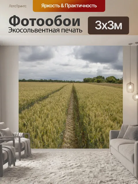 Фотообои Золотое пшеничное поле и солнечный день