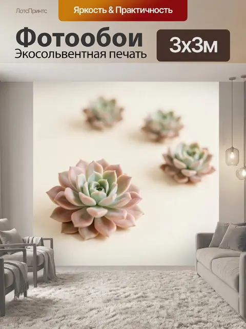 Фотообои Нежные суккуленты на светлом фоне