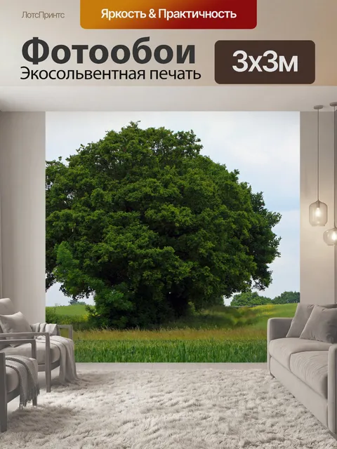 Фотообои Дерево
