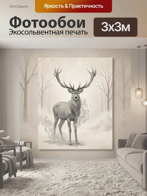 300 × 300 см · Экосольвентная печать