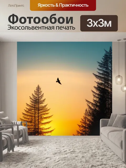 Фотообои птица-парит в лучах заката над лесом