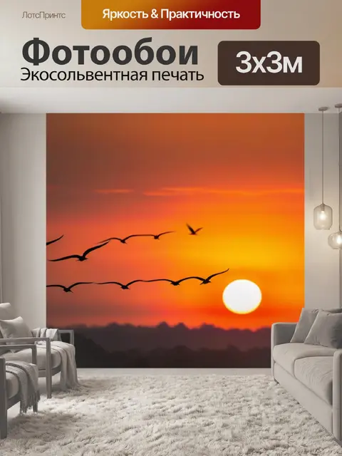 Фотообои птицы, летающие на фоне восходящего солнца