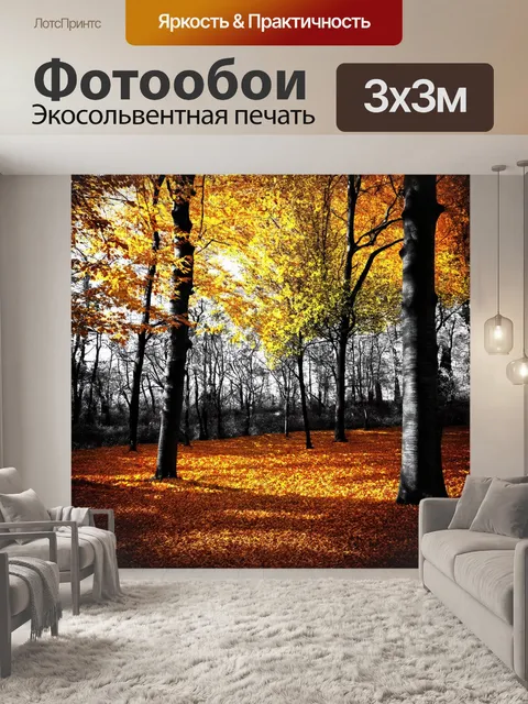 Фотообои черно-белый, показывающие осенний лес, где деревья покрыты золотыми листьями, падающими на землю