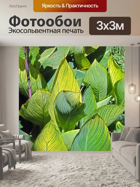 Фотообои Желтые полосатые листья канны