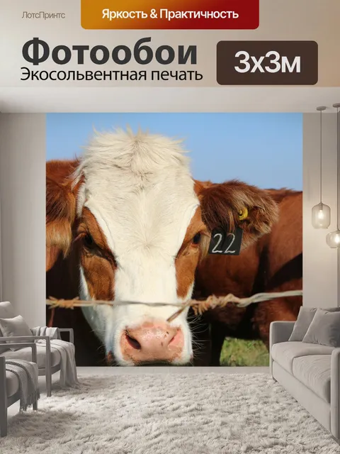 Фотообои Стадо коров