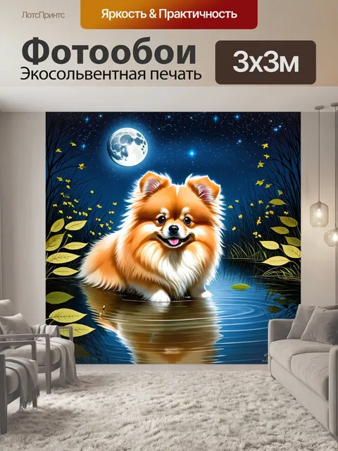 Фотообои ночной пейзаж с померанским шпицем, который смотрит на звезды, отражающиеся в водоеме