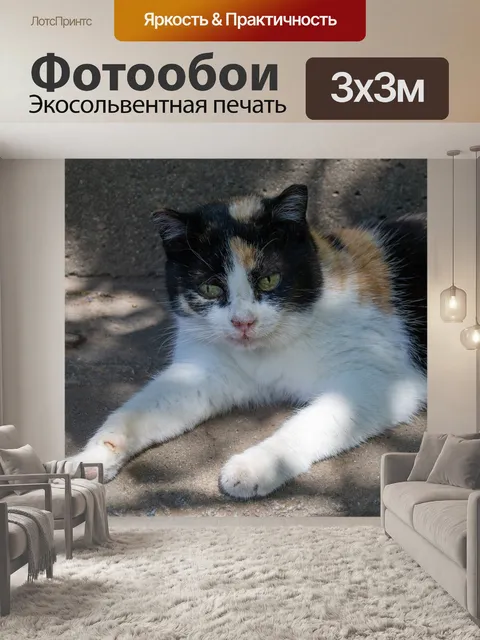 Фотообои Кошка