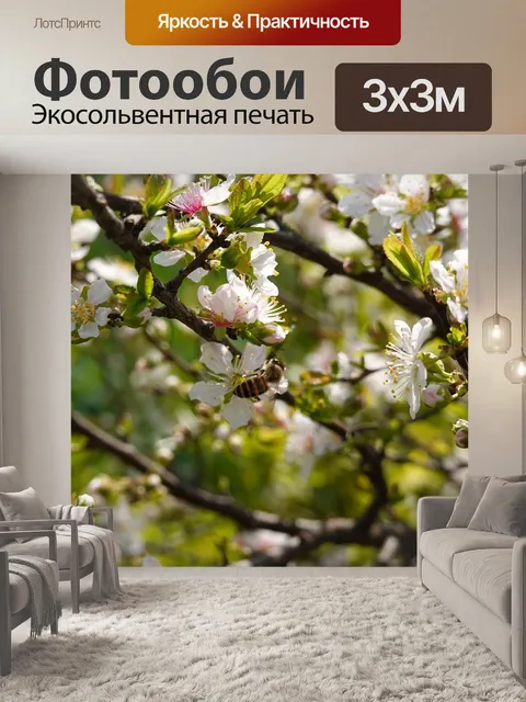 Фотообои Сакура