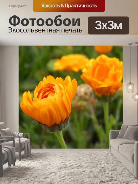 Фотообои Цветы