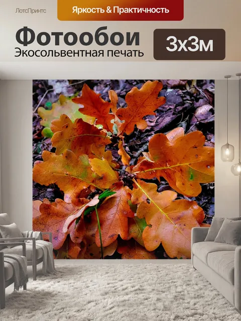 Фотообои Дубовые листья