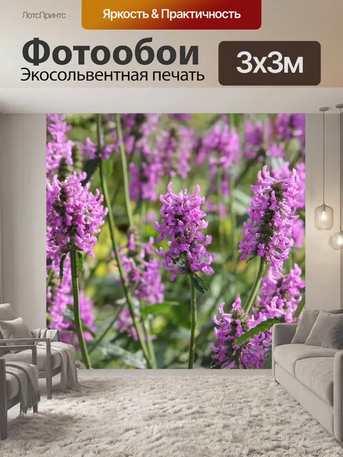 Фотообои Цветы