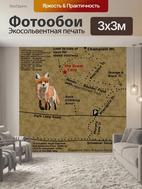 Фотообои тропа пропасти