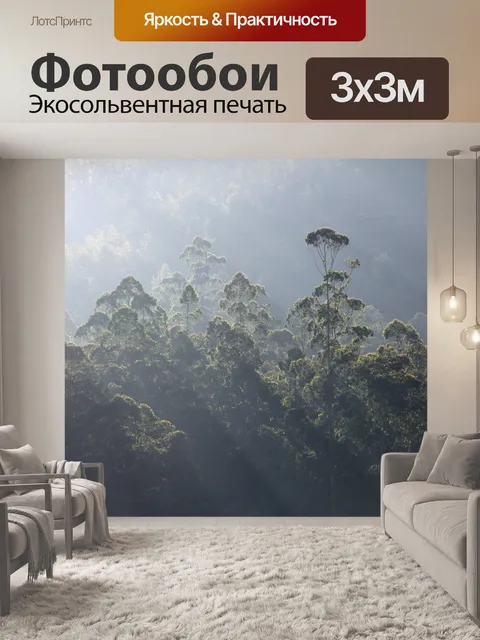 Фотообои Лес