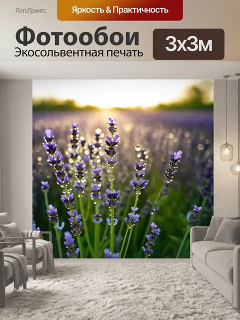 Фотообои поле с лавандовыми растениями, усыпанными каплями росы, блестящими на утреннем солнце
