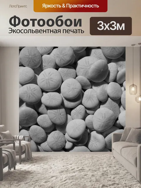 Фотообои Морские ежи