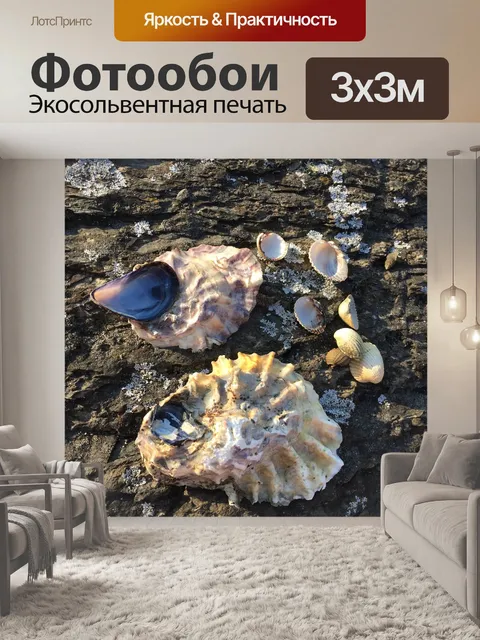 Фотообои Морская ракушка