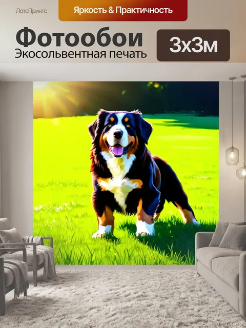 Фотообои изображение бернского зенненхунда, играющего на зеленом лугу под ярким солнечным светом