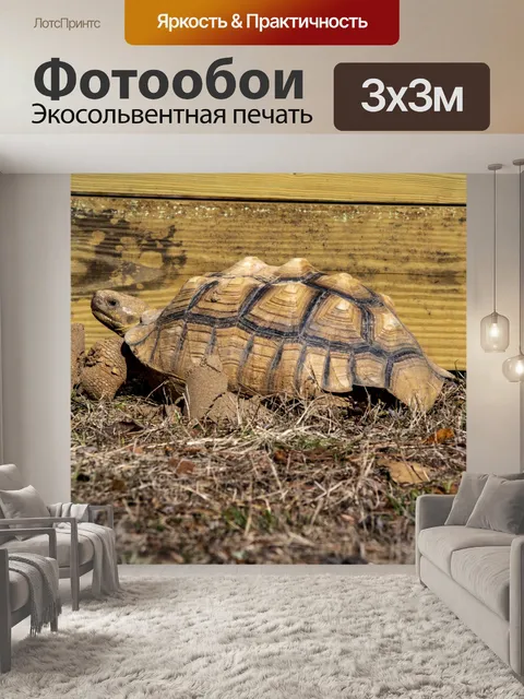 Фотообои черепаха