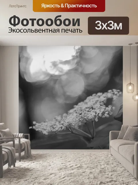 Фотообои Цветочные на закате - BW