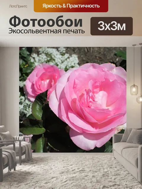 Фотообои Розы