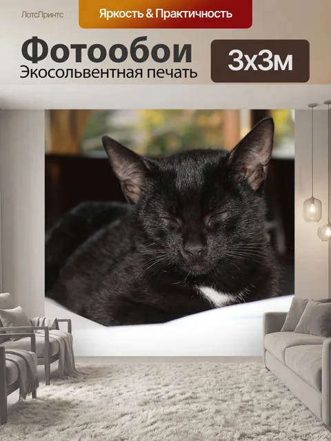 Фотообои Черный