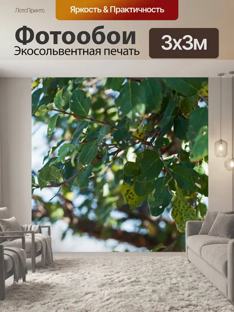 Фотообои зеленые листья с перистыми жилками