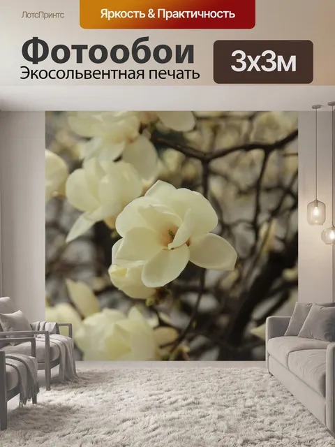Фотообои Цветок магнолии