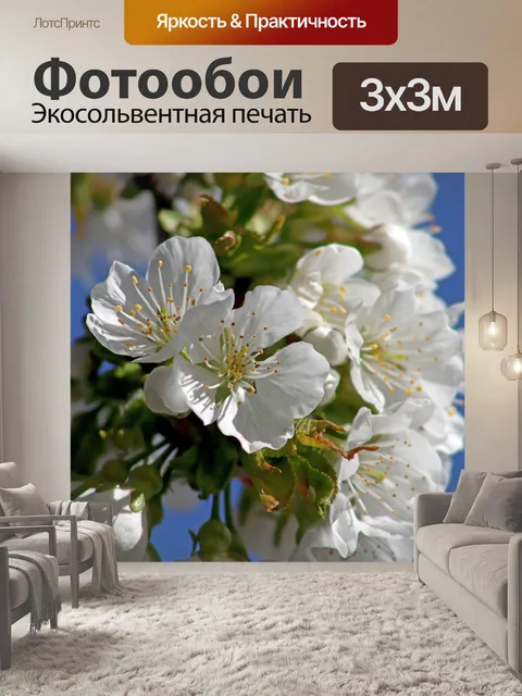 Фотообои Вишня