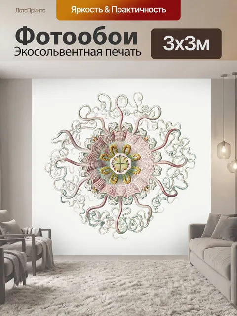 Фотообои Морская медуза винтажное искусство