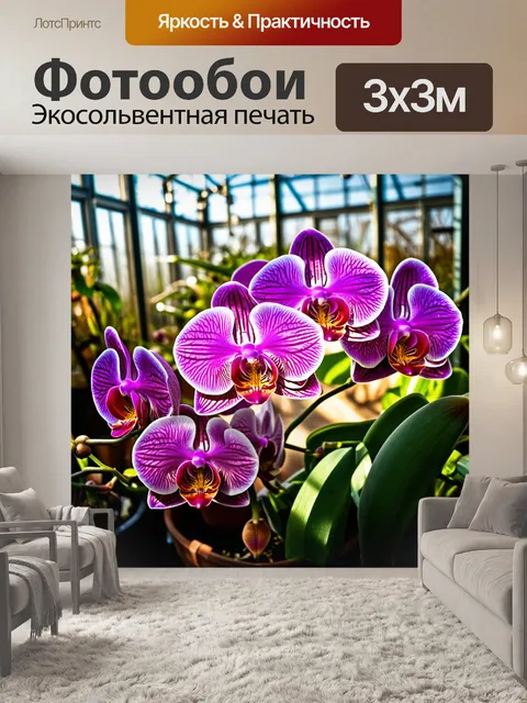 Фотообои фаленопсисы, выращенные в стеклянной теплице, их фиолетовые цветы контрастируют с ярким светом, проходящим…