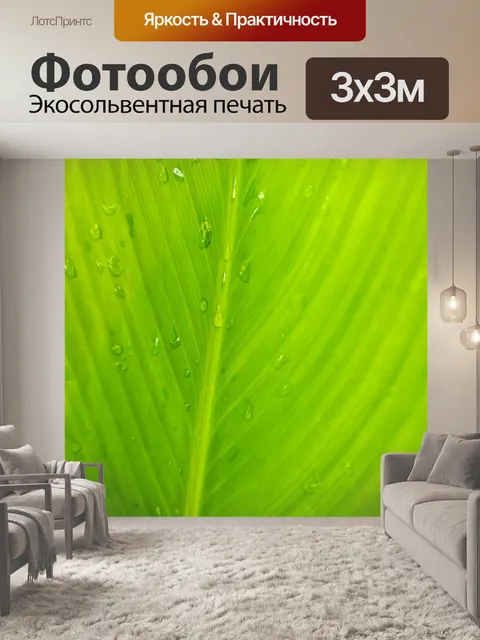 Фотообои Деталь листьев пальмы