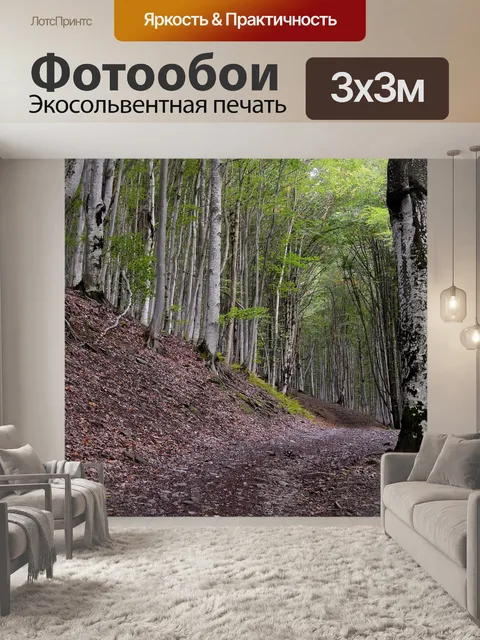 Фотообои Лес