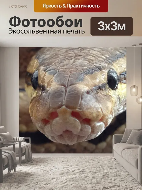 Фотообои Штифт завиток