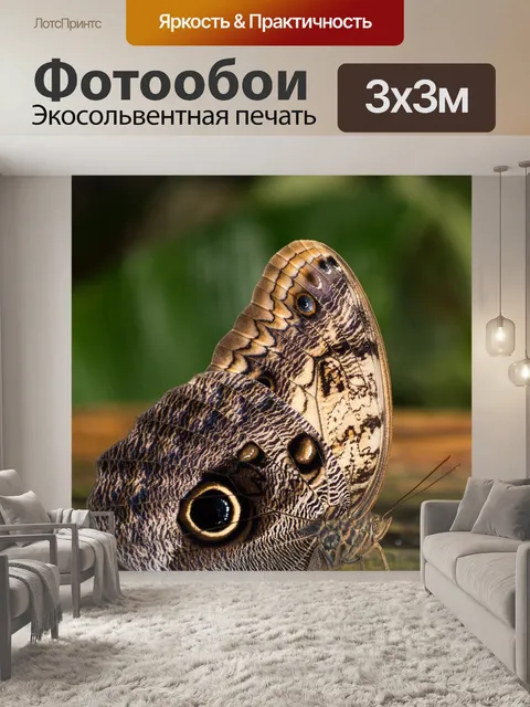 Фотообои Сад бабочек бенальмадена