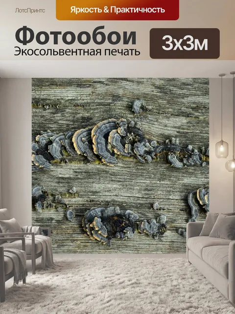 Фотообои Древесина