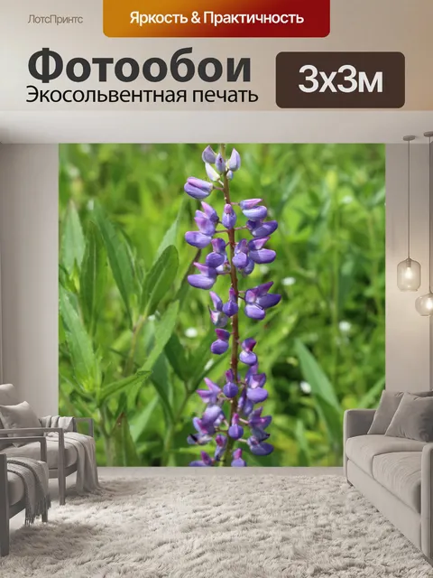 Фотообои люпин