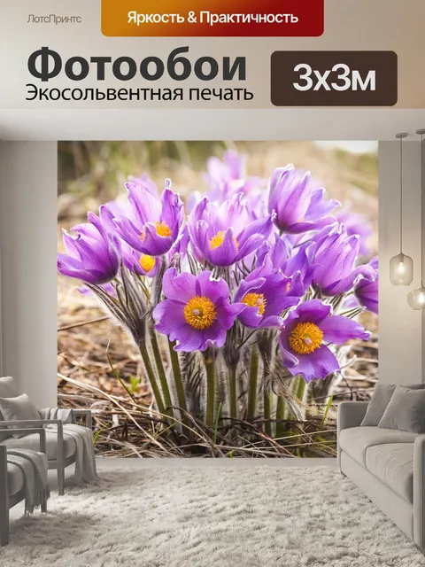 Фотообои Цветы