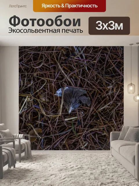 Фотообои Фон текстуры из природы