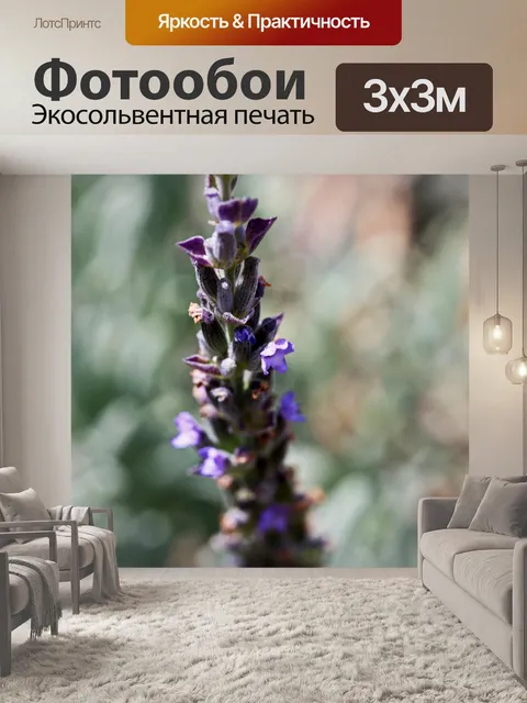 Фотообои фиолетовые цветы на прядях лаванды