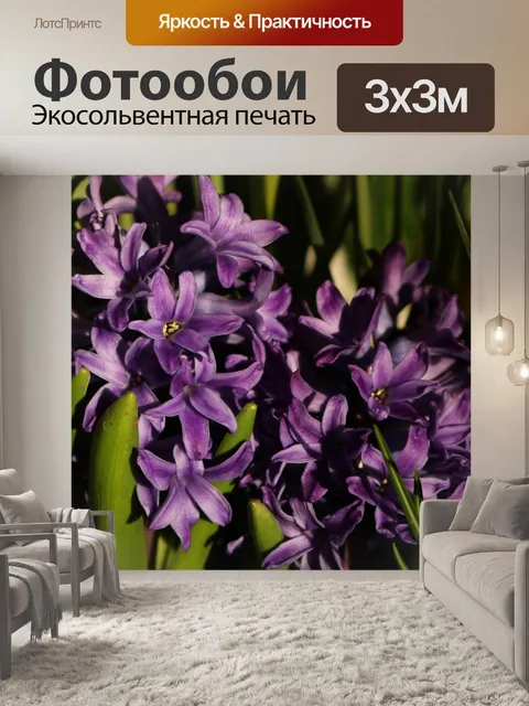 Фотообои Фиолетовый гиацинт Цветы крупным планом