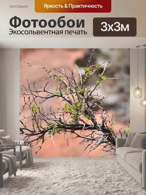 Фотообои Живописный