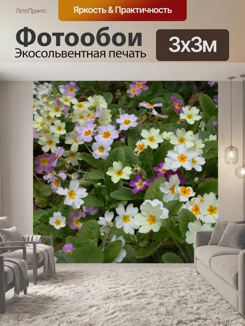 Фотообои Первоцветы
