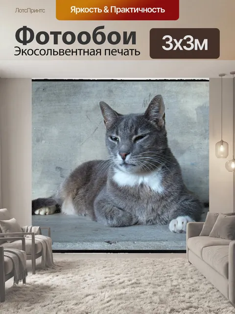 Фотообои Кошка